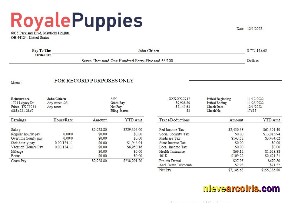 Veterinary Medicine Company Earning Statement In Word And PDF Formats Template