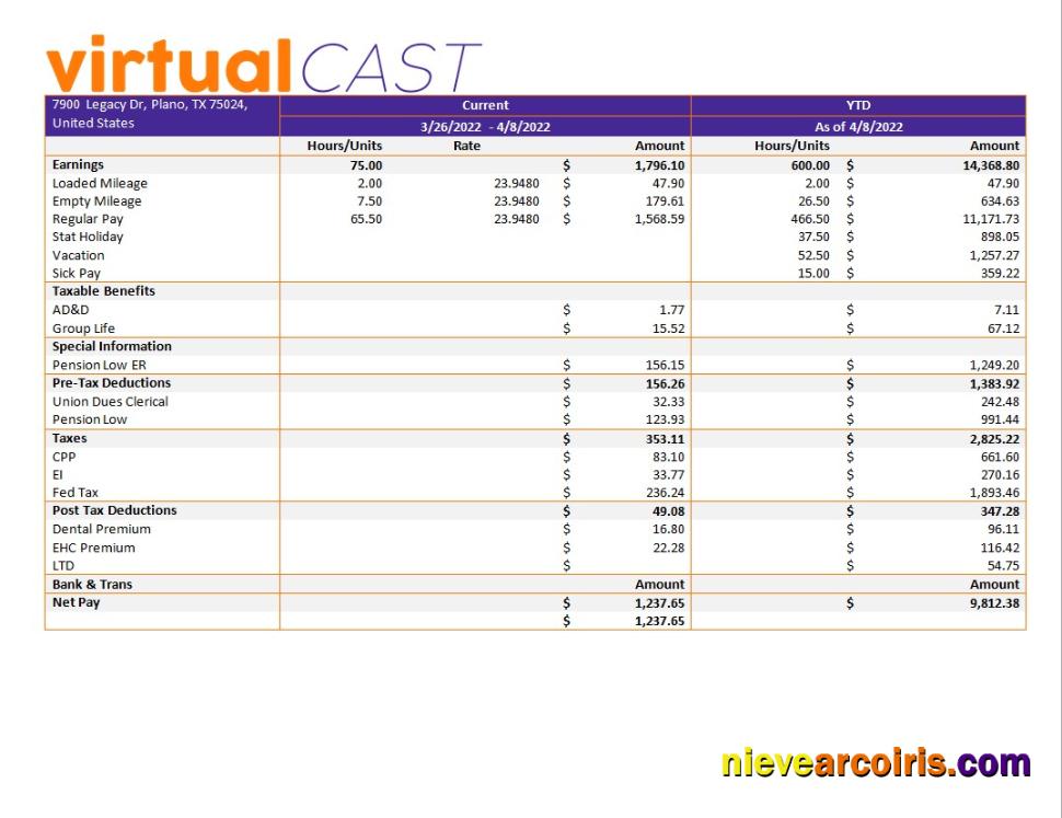 Premium Video Conferencing Company Payroll Template In Word And PDF Formats