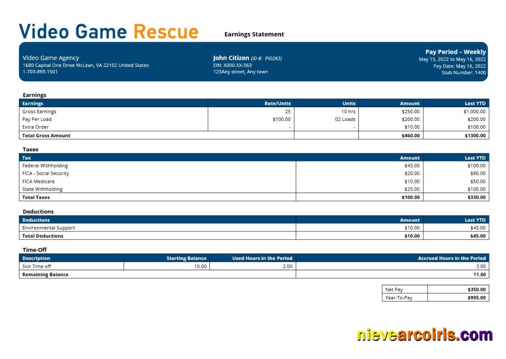 Professional Video Game Company Paystub Template In Word And PDF Formats