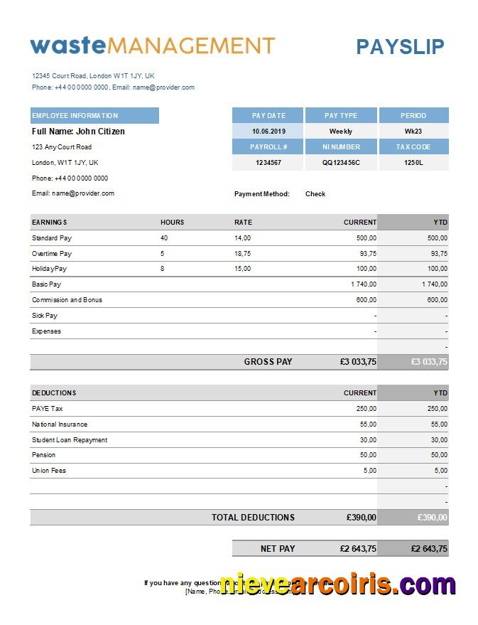 Professional Waste Management Company Earning Statement Template In Excel And PDF Formats