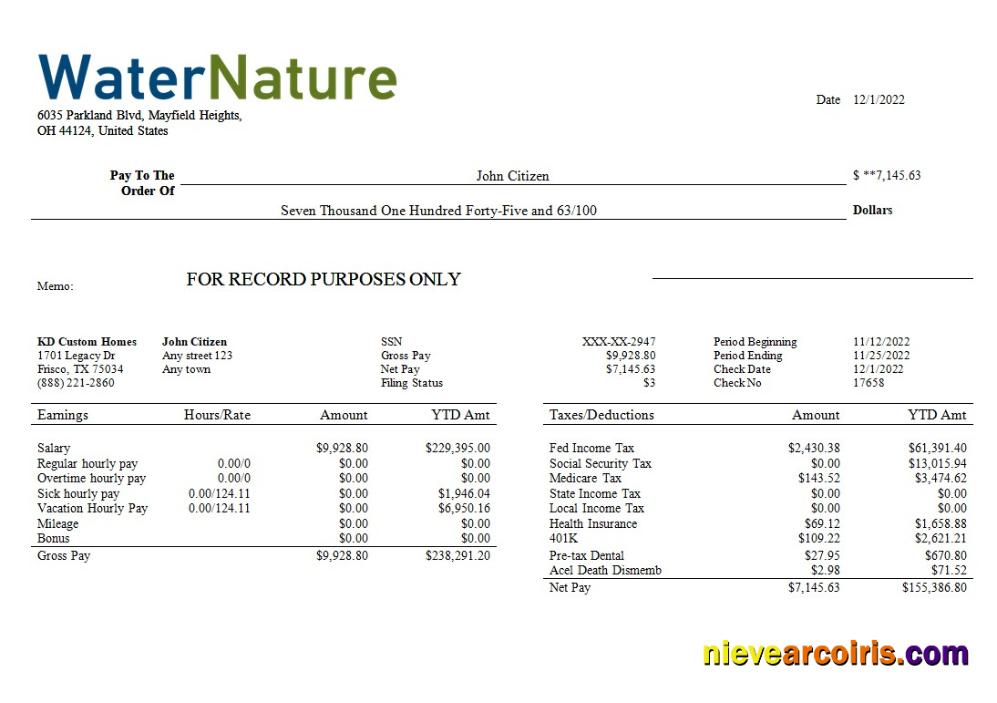 Editable Water Company Editable Earning Statement Template In Word And PDF Formats