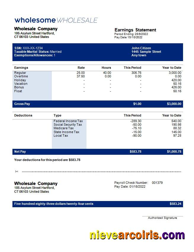 Premium Wholesale Company Payroll Template In Word And PDF Formats