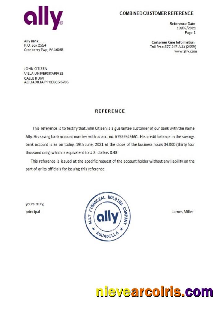 USA Ally Reference Template
