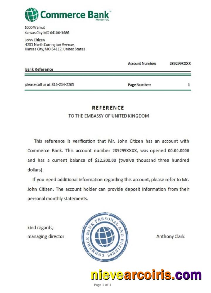 USA Commerce Bank Reference Template