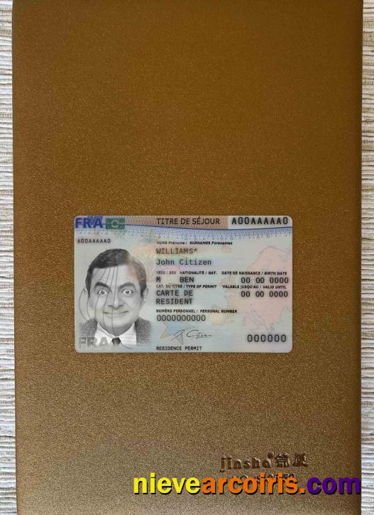 France New Residence Card 2019 Present Photolook FRONT Sample