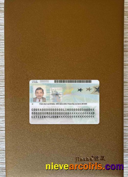 USA Green Card, Permanent Resident Card 2020 – Present Photolook Sample