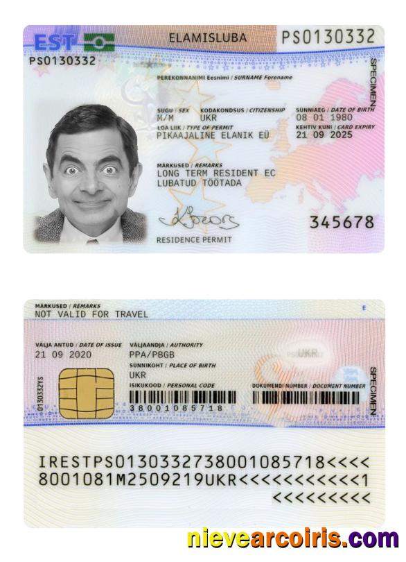 Estonia Residence Permit 2020 Present Sample