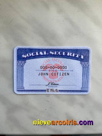 USA SSN Photolook White Background FRONT Template