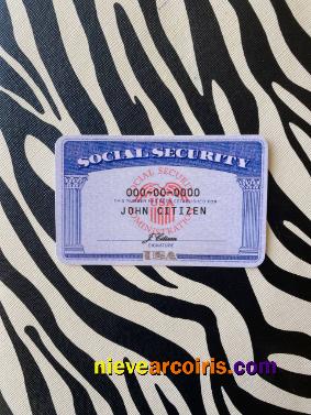 USA SSN Photolook Zebra Background FRONT Template