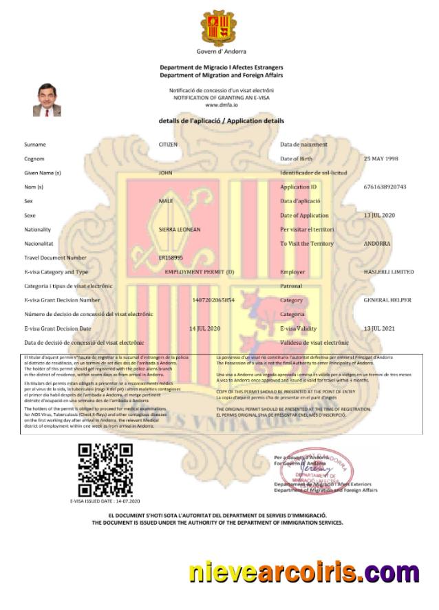 Premium Andorra E Visa In Word And PDF Template