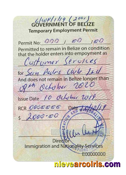 BELIZE Work Visa Template