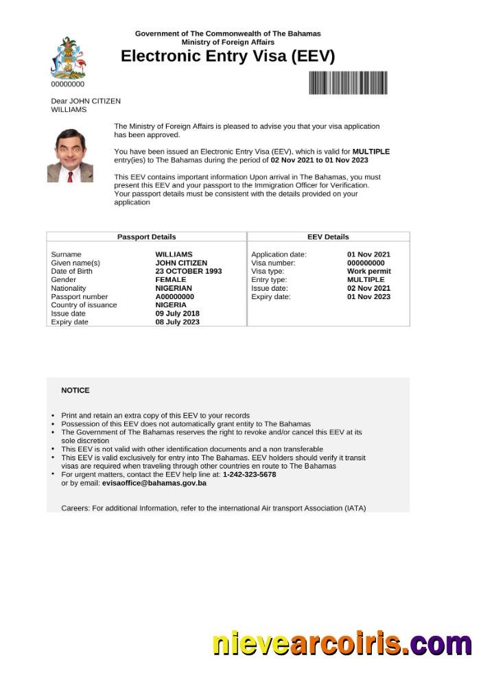 Premium Bahamas E Visa In Word And PDF Template