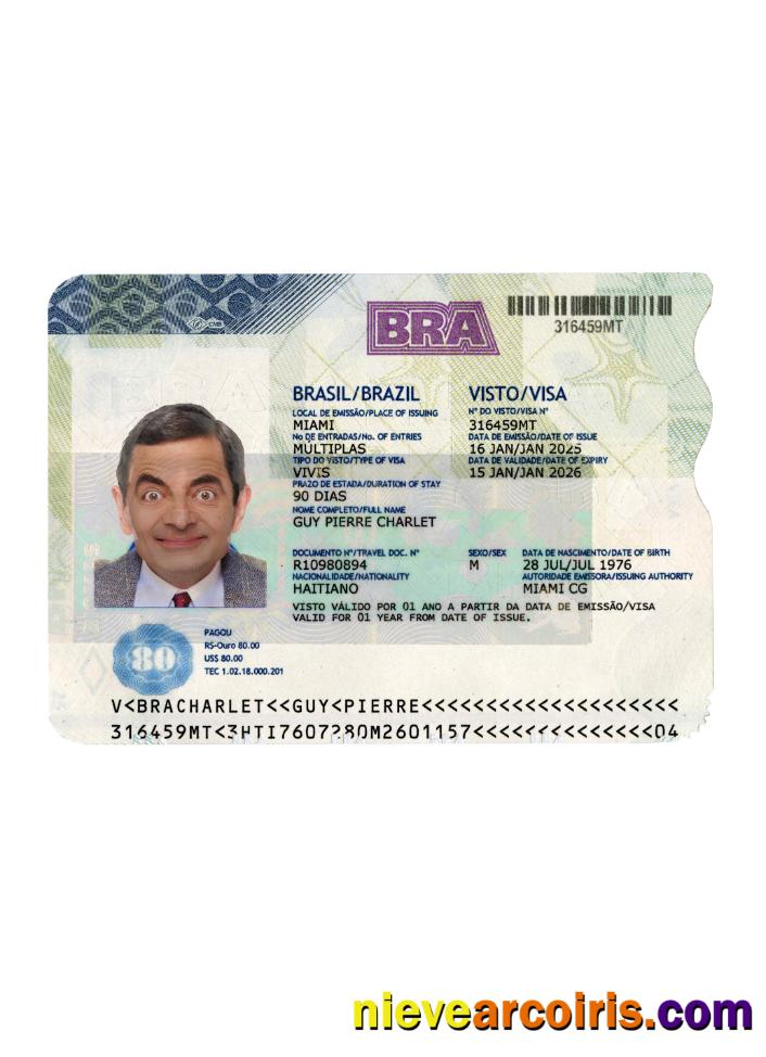 Brazil Travel Visa 2025 Present Preview