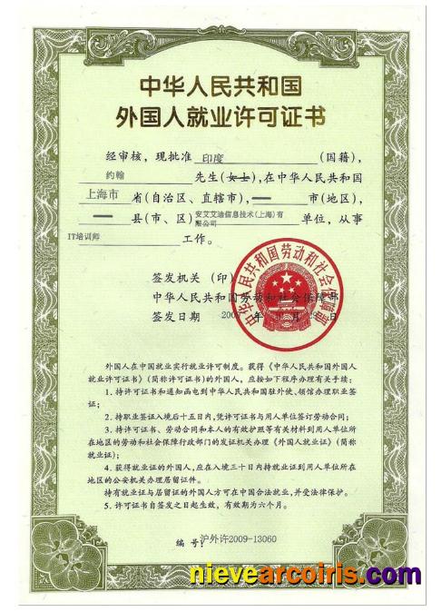 CHINA Employment Permit (work Visa) Template