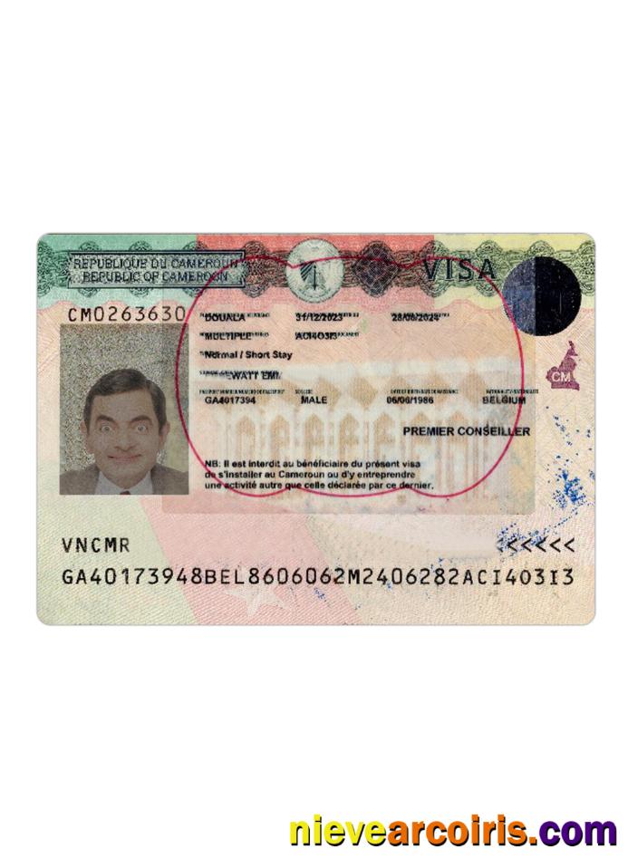 Cameroon Travel Visa Version 2 Photolook