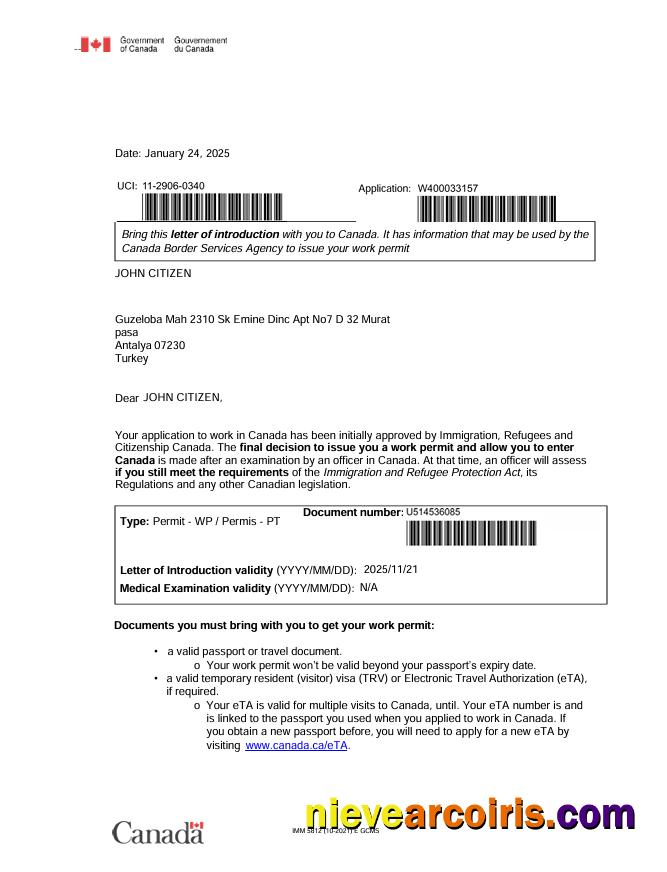 Professional Canada E Visa Template In Word And PDF Formats