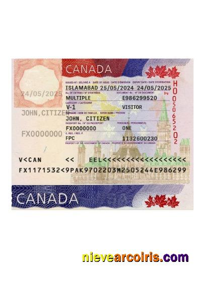 Canada Travel Visa 2024 Present Template