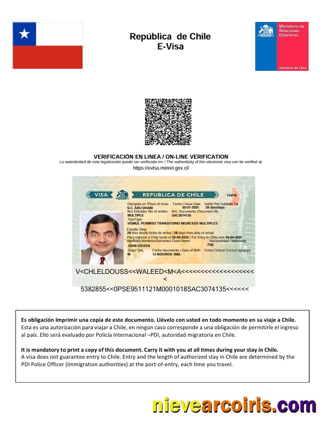 Realistic Chile E Visa Template In Word And PDF Formats