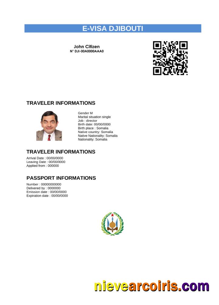 Premium Djibouti E Visa In Word And PDF Template