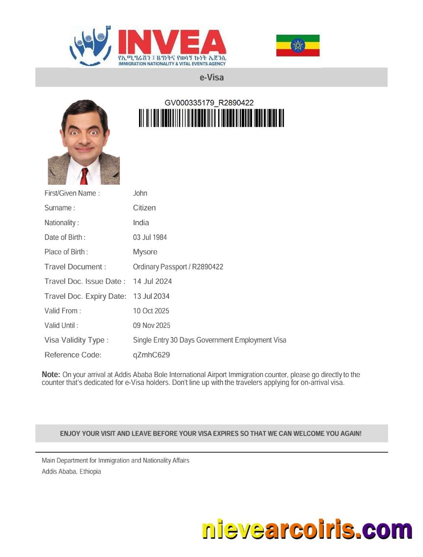 Editable Ethiopia E Visa Template In Word And PDF Formats