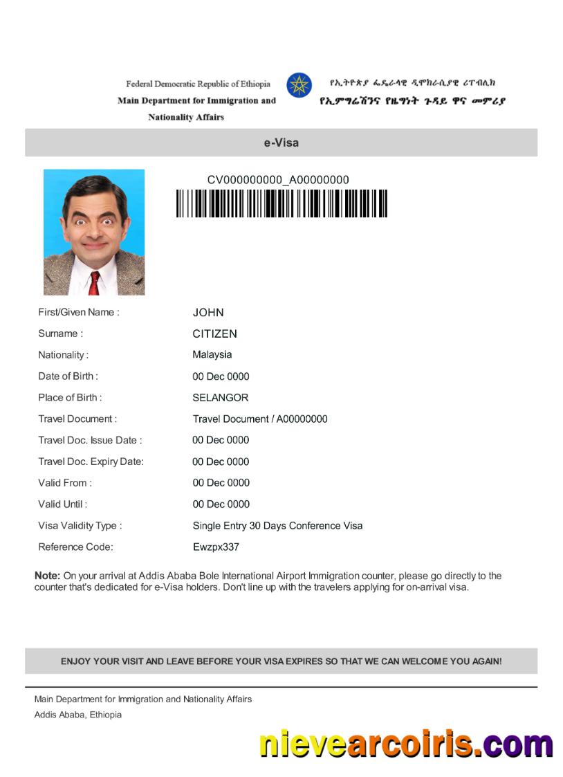 Ethiopia E Visa Sample