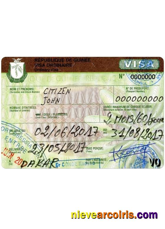 GUINE Travel Visa Preview