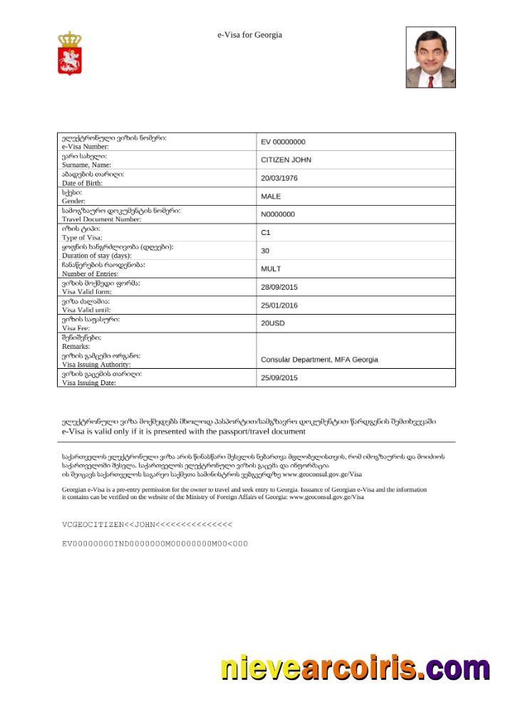 Professional Georgia E Visa In Word And PDF Template