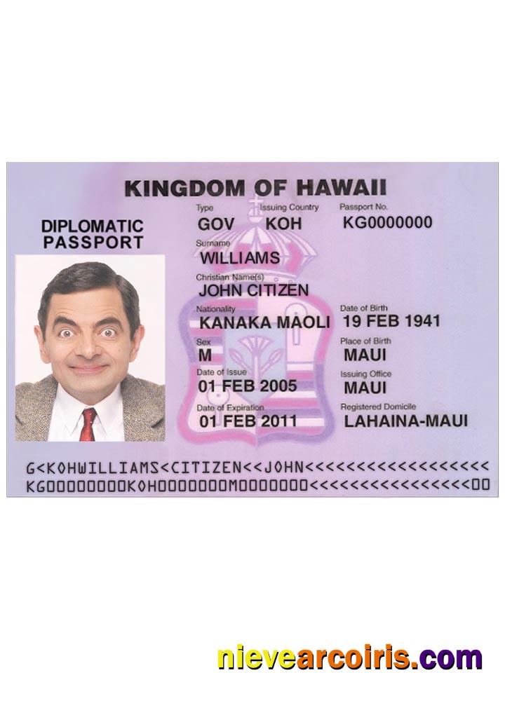 HAWAII Visa Photolook