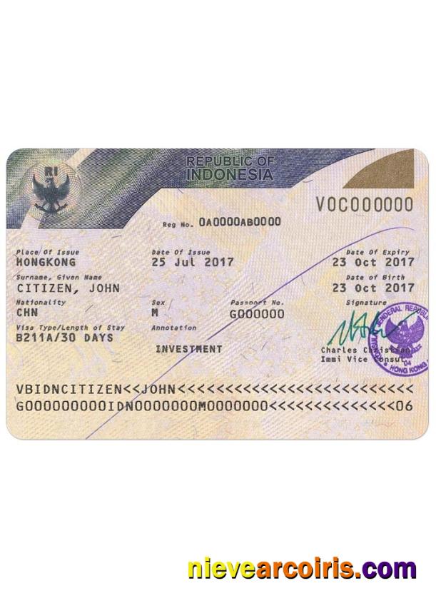 INDONESIA Visa Version 2 Sample