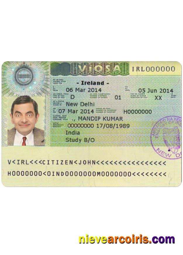 IREALAND Visa Preview