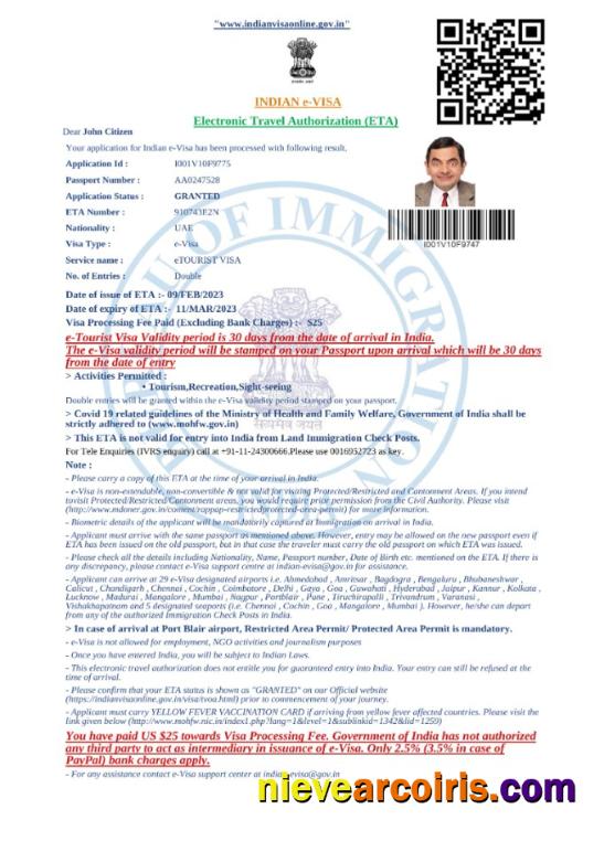 Premium India E Visa In Word And PDF Template