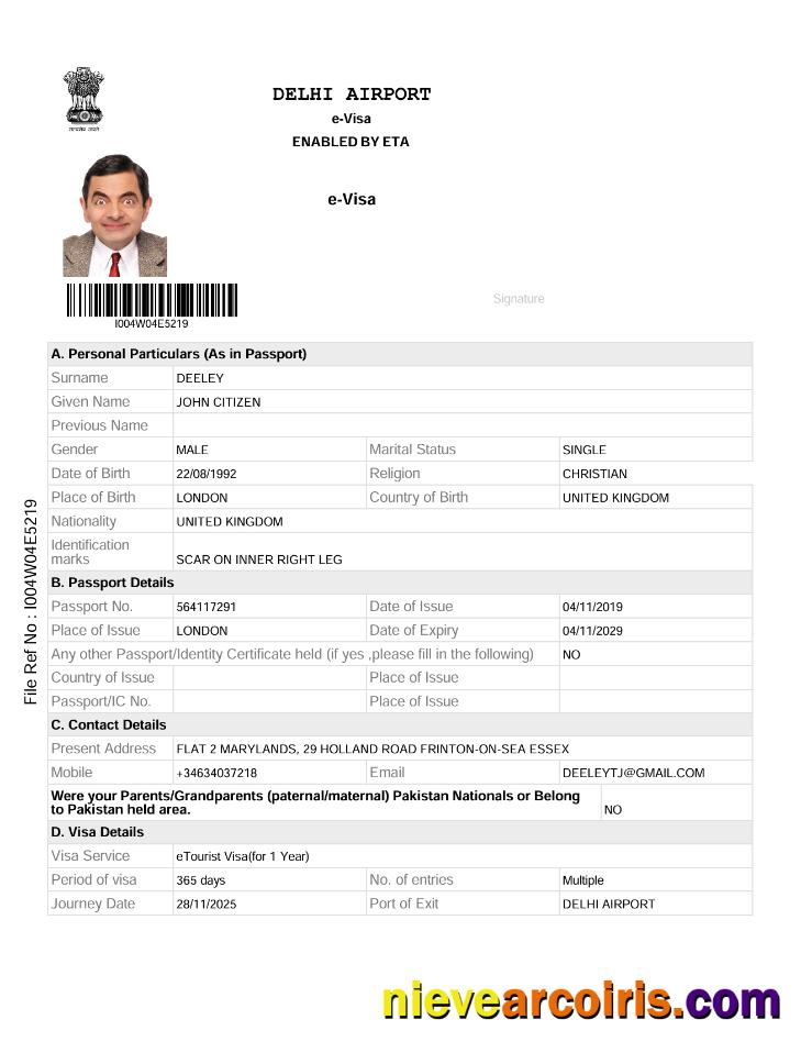 Premium India E Visa Template In Word And PDF Formats, Version 2