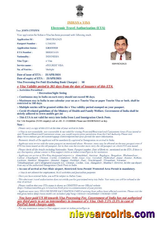 Editable India E Visa Template In Word And PDF Formats, Version 4
