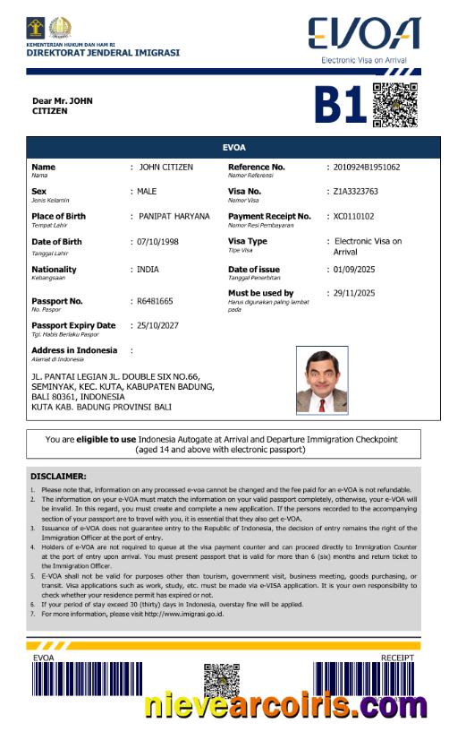 Professional Indonesia E Visa Template In Word And PDF Formats, Version 2