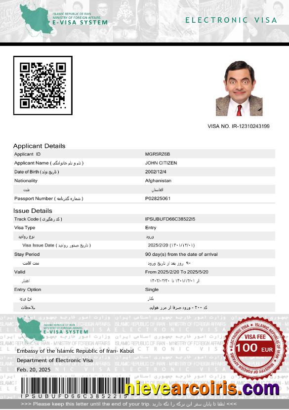 Professional Iran E Visa Template In Word And PDF Formats