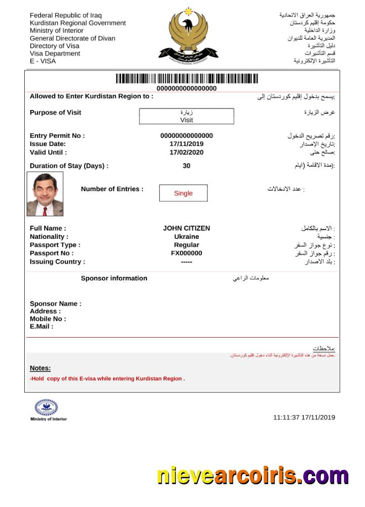 Realistic Iraq E Visa In Word And PDF Template