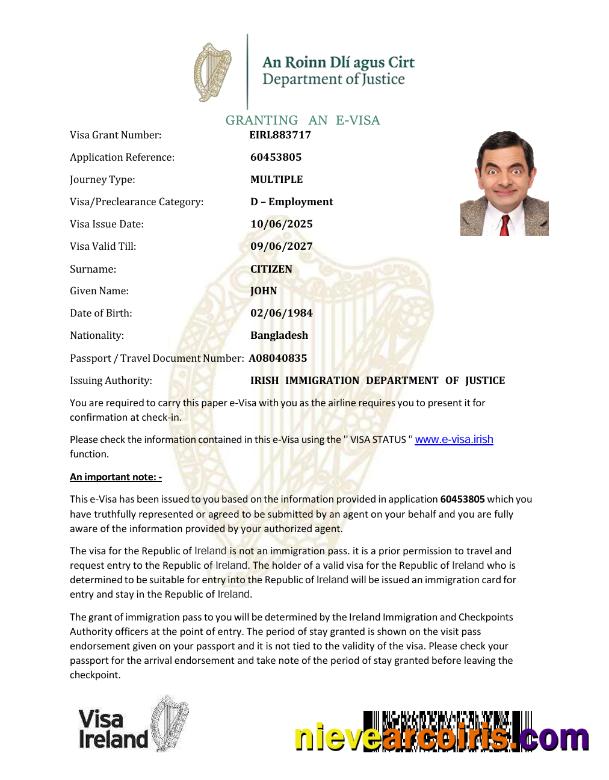 Professional Ireland E Visa Template In Word And PDF Formats