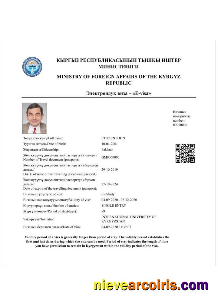 KYRGYZ E Visa Template