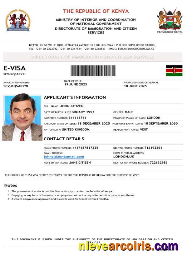 Professional Kenya E Visa Template In Word And PDF Formats