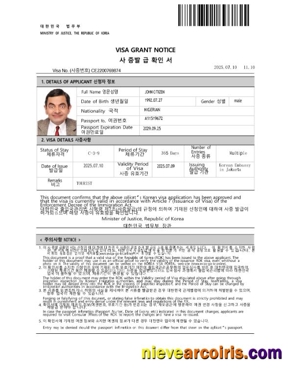 Realistic Korea E Visa Template In Word And PDF Formats