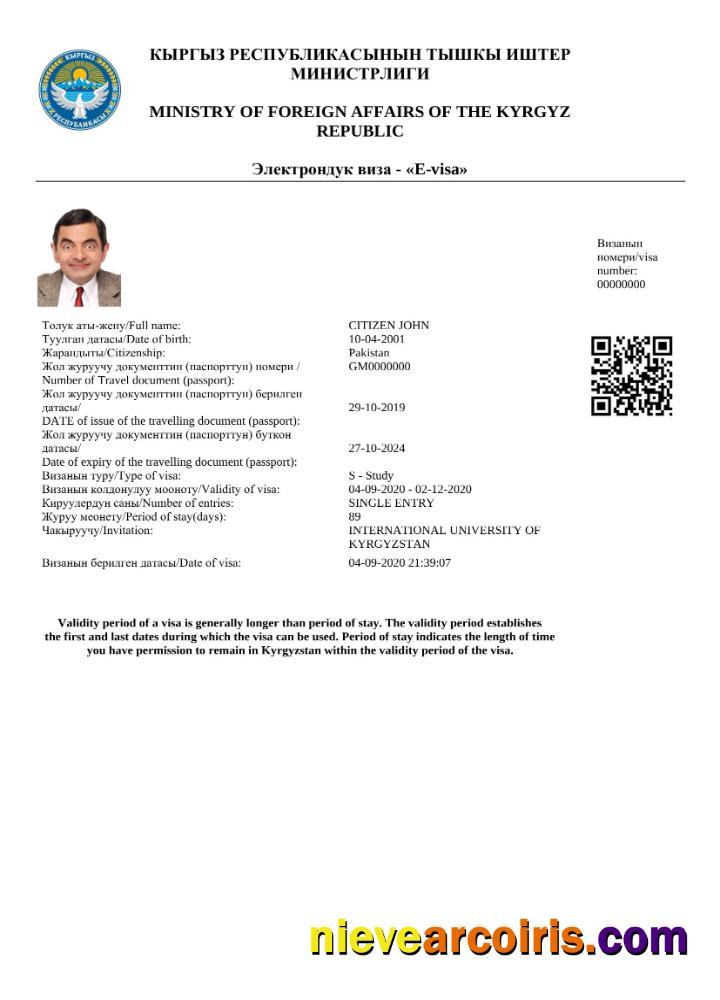 Editable Kyrgystan E Visa In Word And PDF Template