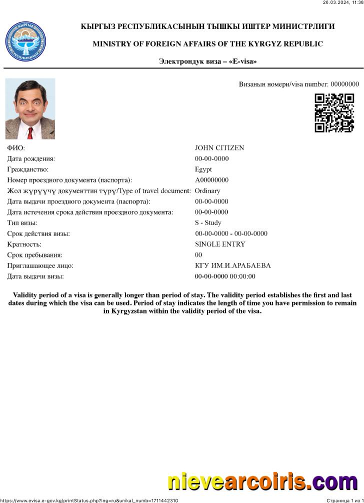 Kyrgyz Republic E Visa Template