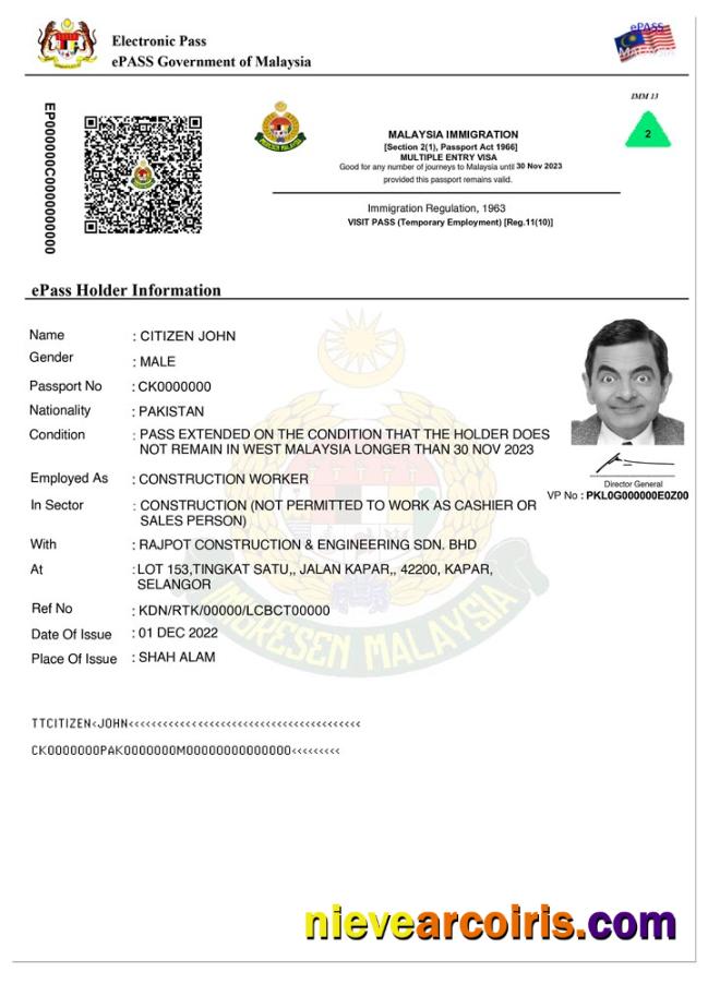 MALAYSIA E Pass Entry Visa Preview