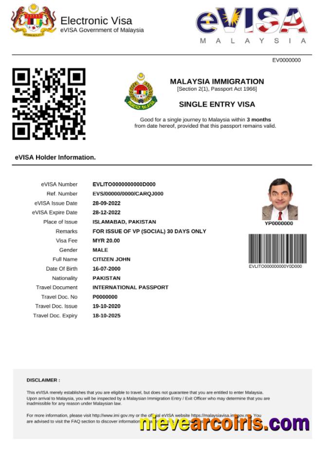 Professional Malaysia E Visa In Word And PDF Template