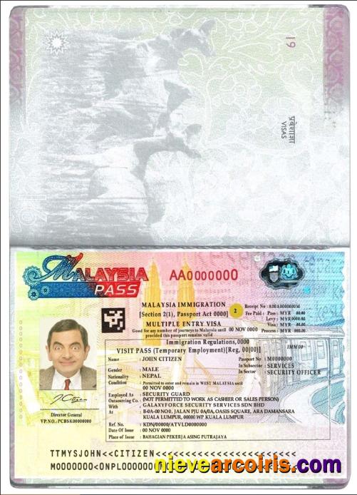Malaysia Multiple Entry Visa Template