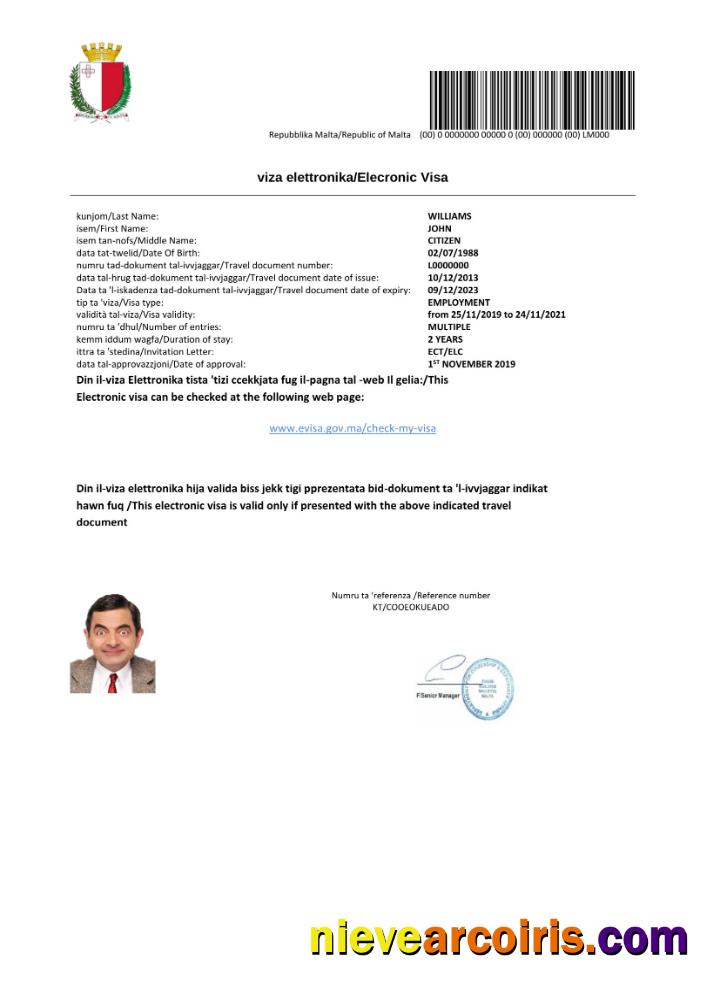 Realistic Malta E Visa In Word And PDF Template