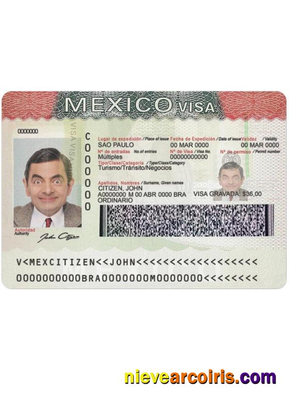 Mexico Visa Photolook