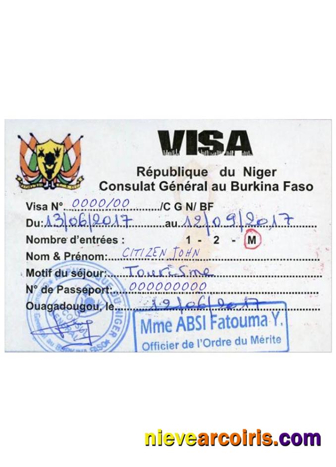 NIGER Travel Visa Sample