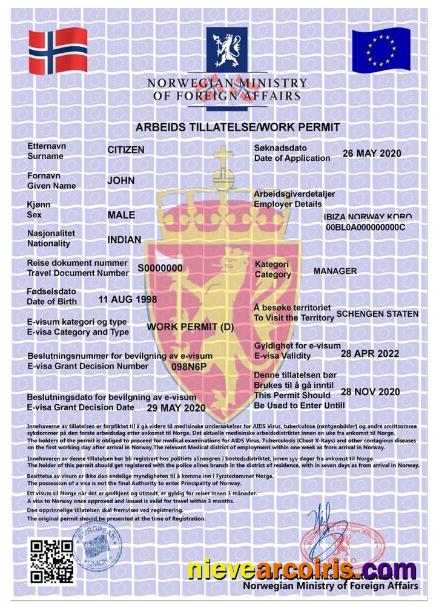 NORWAY Work Permit, E Visa Photolook
