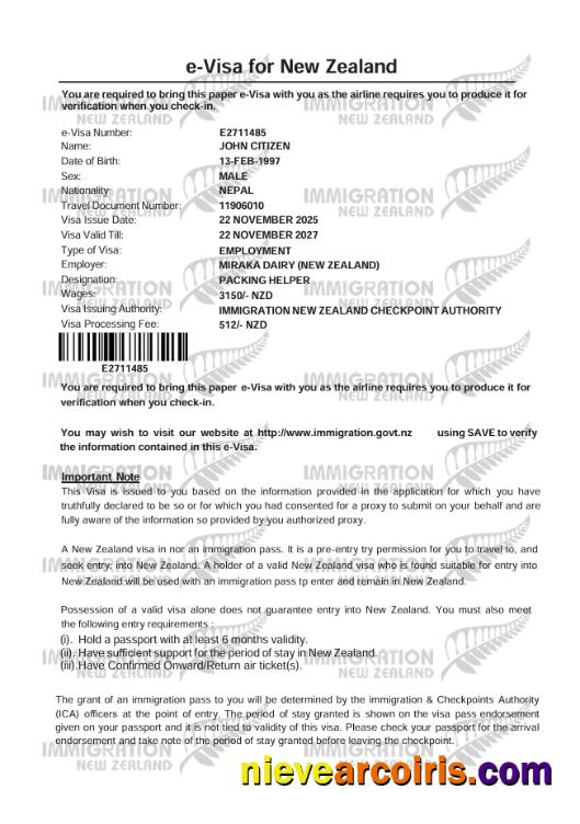 Professional New Zealand E Visa Template In Word And PDF Formats, Version 2